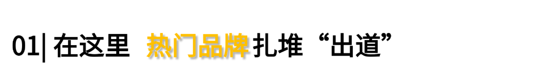 我要“验牌” (5).png