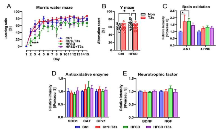 這種常見的維生素，有益于大腦，阻止認知能力下降