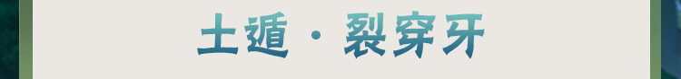 【新忍攻略】忍术的巧妙结合，展现战术大师风范的旗木卡卡西「幻之真容」！