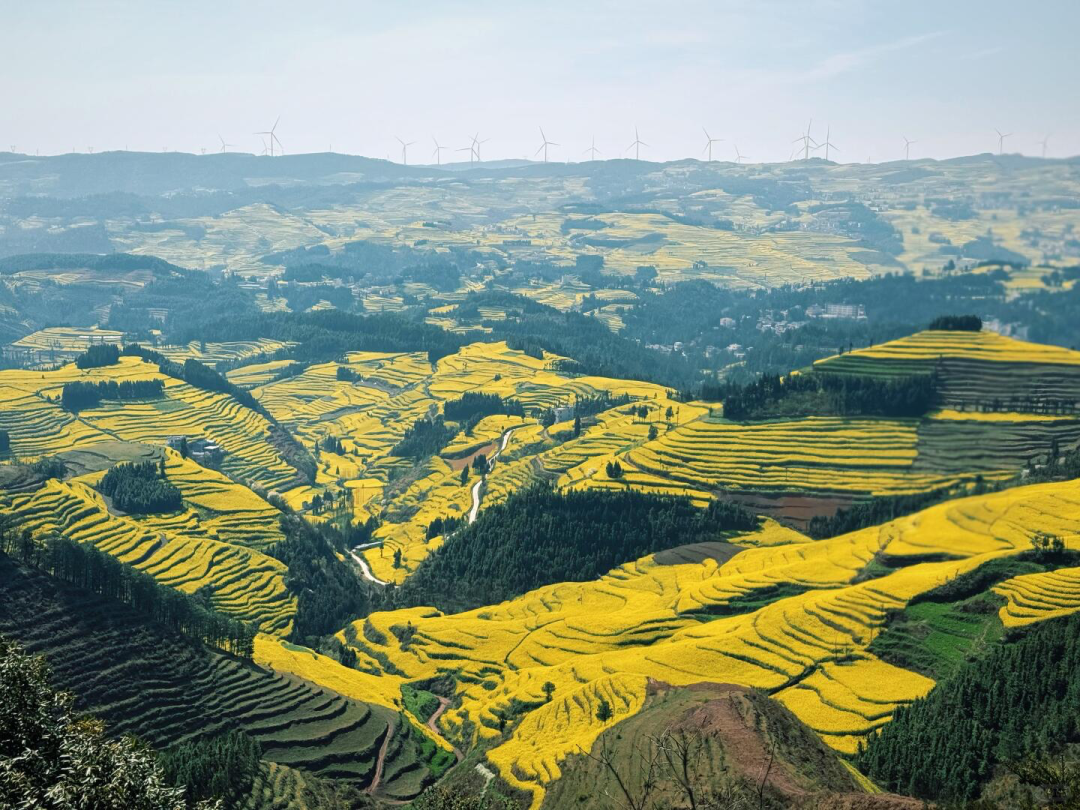 3月最佳旅行地 | 7元嗦粉、5元坐船、0元看花海，中国有的是好看又好吃的地方！