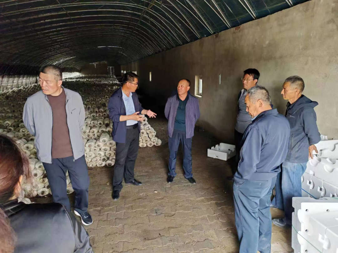察右后旗人大常委会开展全旗乡村振兴促进工作情况调研