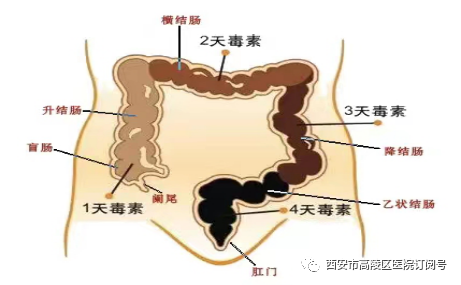 结肠灌洗怎么回事好消息 ll 高陵区医院肛肠科引进净水臭氧结肠灌洗机治疗便秘_https://www.jmylbn.com_新闻资讯_第11张