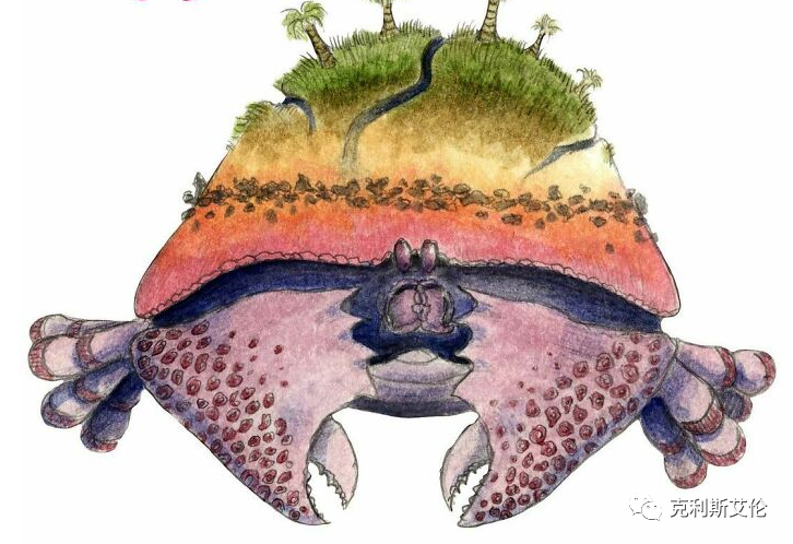 世间各种生物_世间生物都是怎么形成的_世间生物皆有灵性