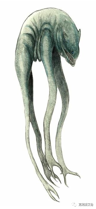 世间生物都是怎么形成的_世间生物皆有灵性_世间各种生物