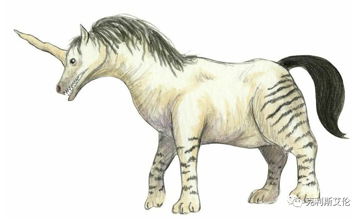 世间各种生物_世间生物皆有灵性_世间生物都是怎么形成的