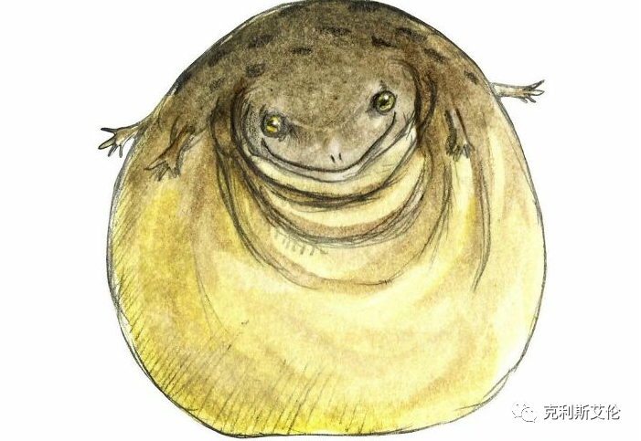 世间各种生物_世间生物都是怎么形成的_世间生物皆有灵性