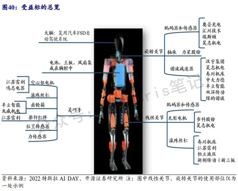 股票杂谈 ｜Optimus又放视频了，人形机器人这次不只是讲故事，拐点来了？
