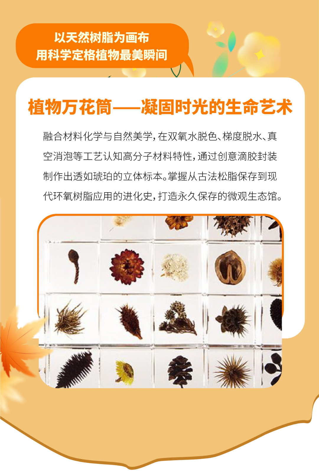 秋季研学10-01.jpg