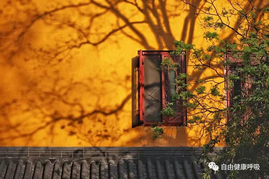 制氧机怎么制氧两分钟教你学会家庭吸氧_https://www.jmylbn.com_新闻资讯_第1张