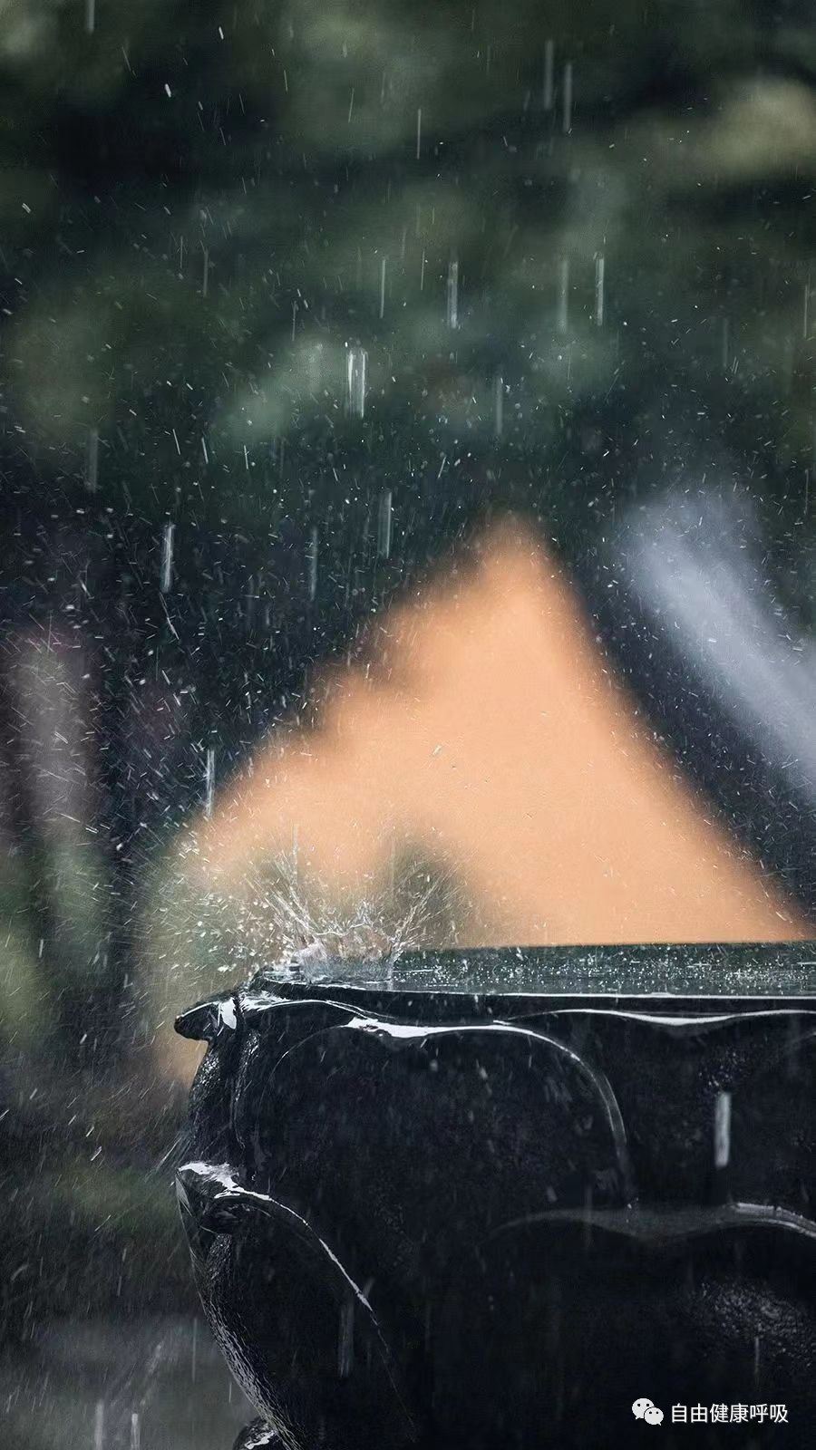 制氧机怎么制氧两分钟教你学会家庭吸氧_https://www.jmylbn.com_新闻资讯_第5张