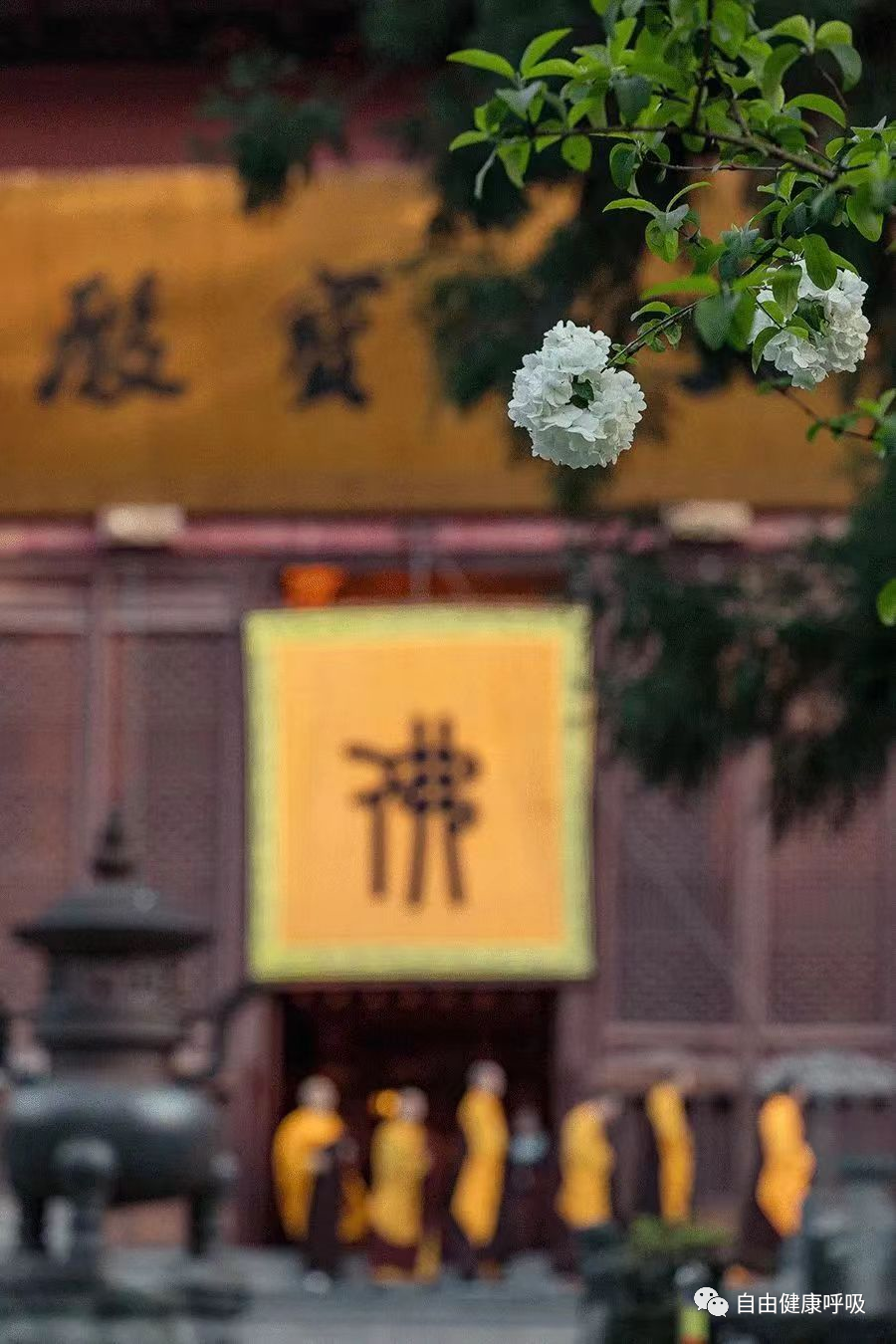 制氧机怎么制氧两分钟教你学会家庭吸氧_https://www.jmylbn.com_新闻资讯_第6张