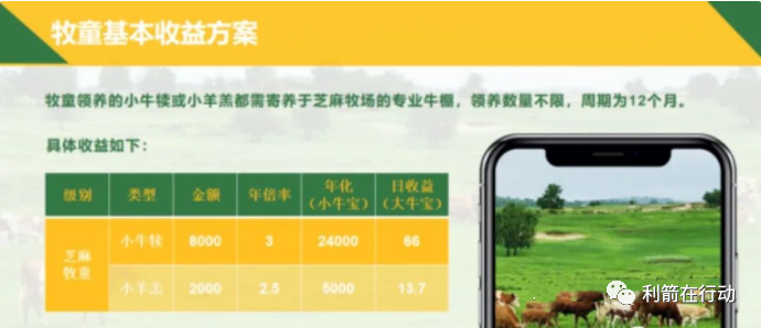 最近崩盘的项目_谨防！这些项目有的已崩盘，还有的正在跑路中！_福建老板被骗纷纷跑路