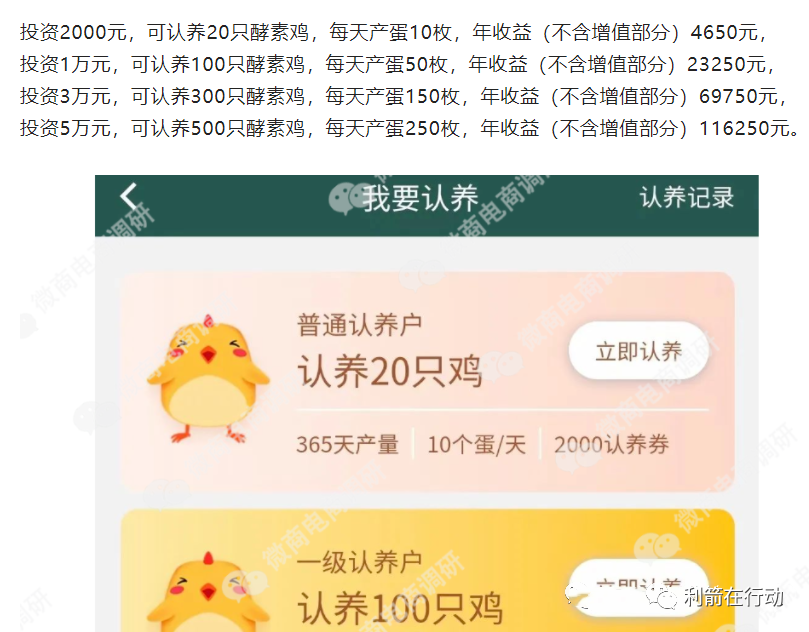 谨防！这些项目有的已崩盘，还有的正在跑路中！_最近崩盘的项目_福建老板被骗纷纷跑路