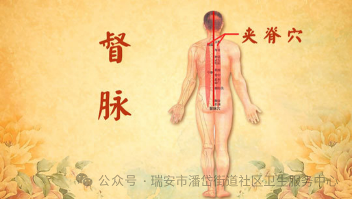 熏蒸什么档位治什么中药熏蒸，古法养生，健康之选！_https://www.jmylbn.com_新闻资讯_第3张