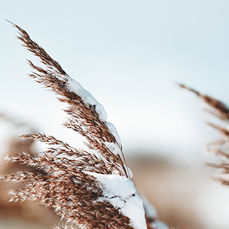 深圳医疗器械怎么样展商推介④ ｜ 建设高端医疗器械产业高地！深圳各区亮点提前睇~_https://www.jmylbn.com_新闻资讯_第18张