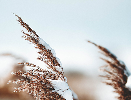 深圳医疗器械怎么样展商推介④ ｜ 建设高端医疗器械产业高地！深圳各区亮点提前睇~_https://www.jmylbn.com_新闻资讯_第19张