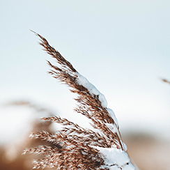 深圳医疗器械怎么样展商推介④ ｜ 建设高端医疗器械产业高地！深圳各区亮点提前睇~_https://www.jmylbn.com_新闻资讯_第20张