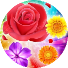 花了个花消消乐