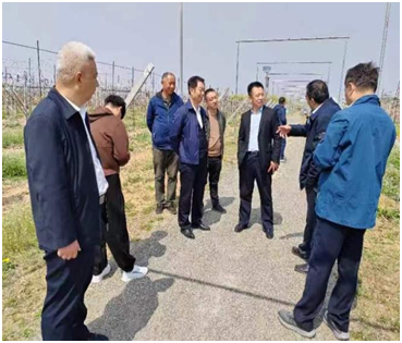 省老科协专家发挥科研智力优势 助力打造乡村振兴齐鲁样板