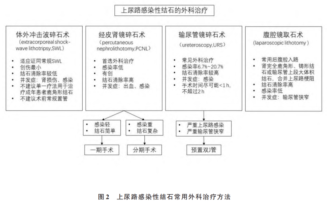 输尿管鞘是什么上尿路感染性结石诊断与治疗中国专家共识（2024版）_https://www.jmylbn.com_新闻资讯_第2张