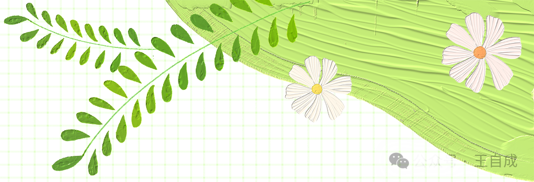 常用药系列｜感冒中成药