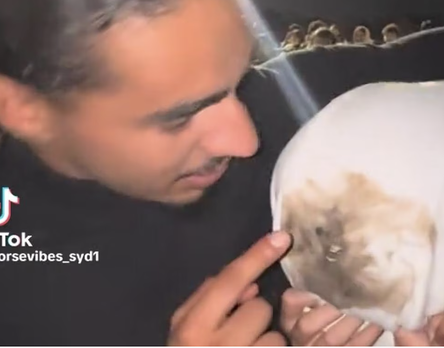 悉尼跨年夜烟花变“武器”！烟花射向人群引发骚乱，致两少女受伤四人被捕（组图） - 3