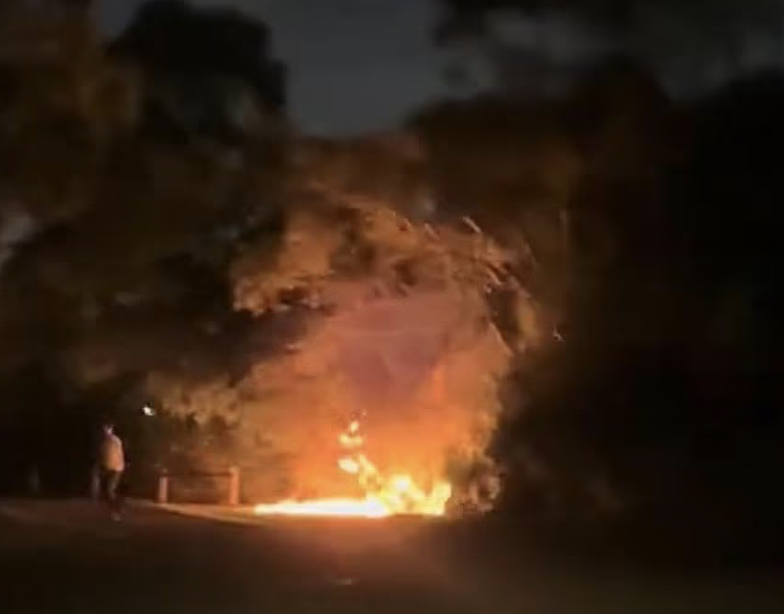 悉尼跨年夜烟花变“武器”！烟花射向人群引发骚乱，致两少女受伤四人被捕（组图） - 4