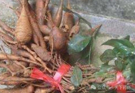 牛大力壮阳偏方牛大力中药泡酒配方