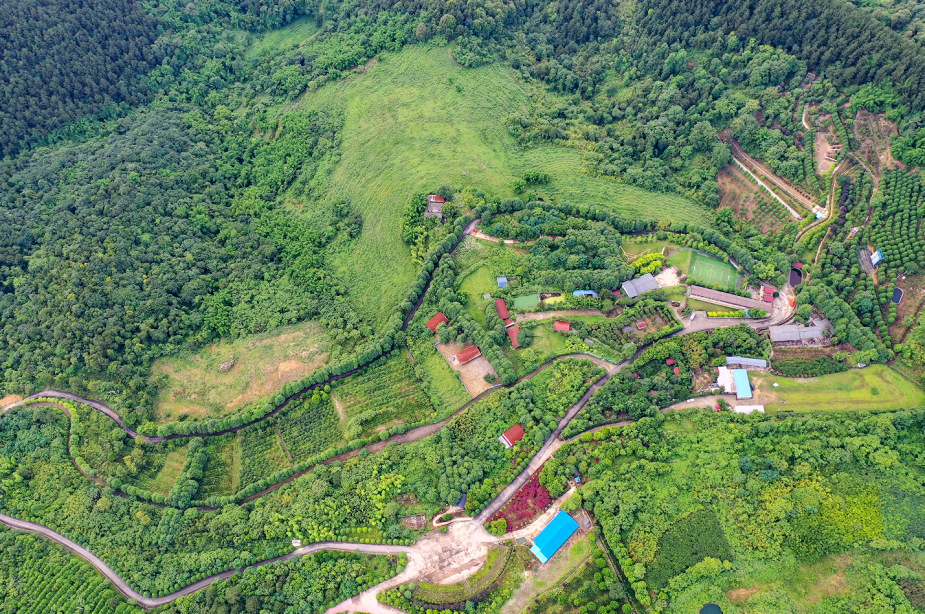 四川广安：广安首个春假！快跟着小编这样打卡——华蓥篇(图14)