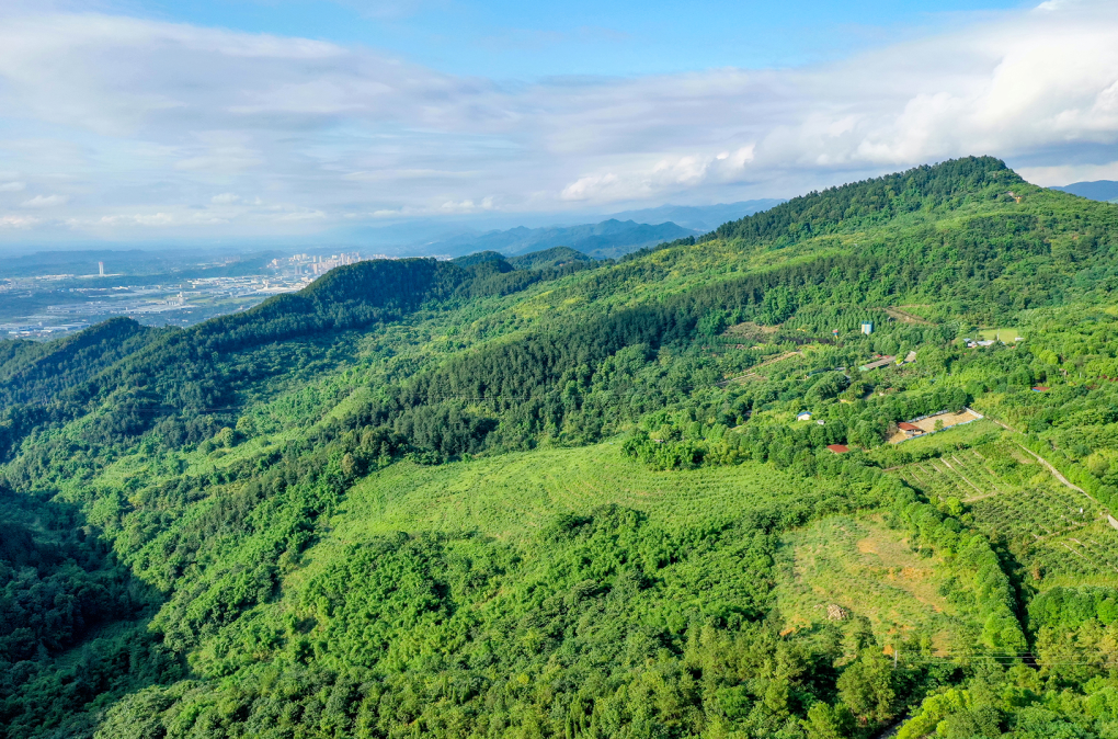 四川广安：广安首个春假！快跟着小编这样打卡——华蓥篇(图15)