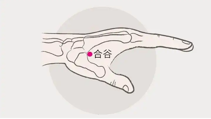 半导体激光治疗什么病【益·健康】常年性鼻炎，用光疗怎么治疗？照射哪些穴位_https://www.jmylbn.com_新闻资讯_第4张