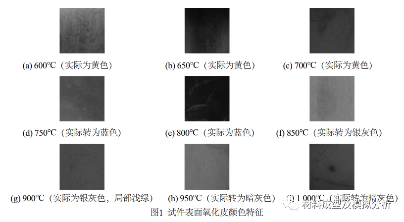 某FGH97合金涡轮盘断口高温氧化机理分析的图2