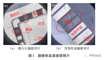 漏镀样品显微镜照片