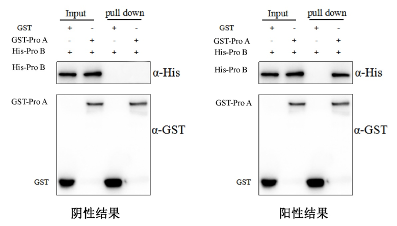 业务介绍gstpulldown
