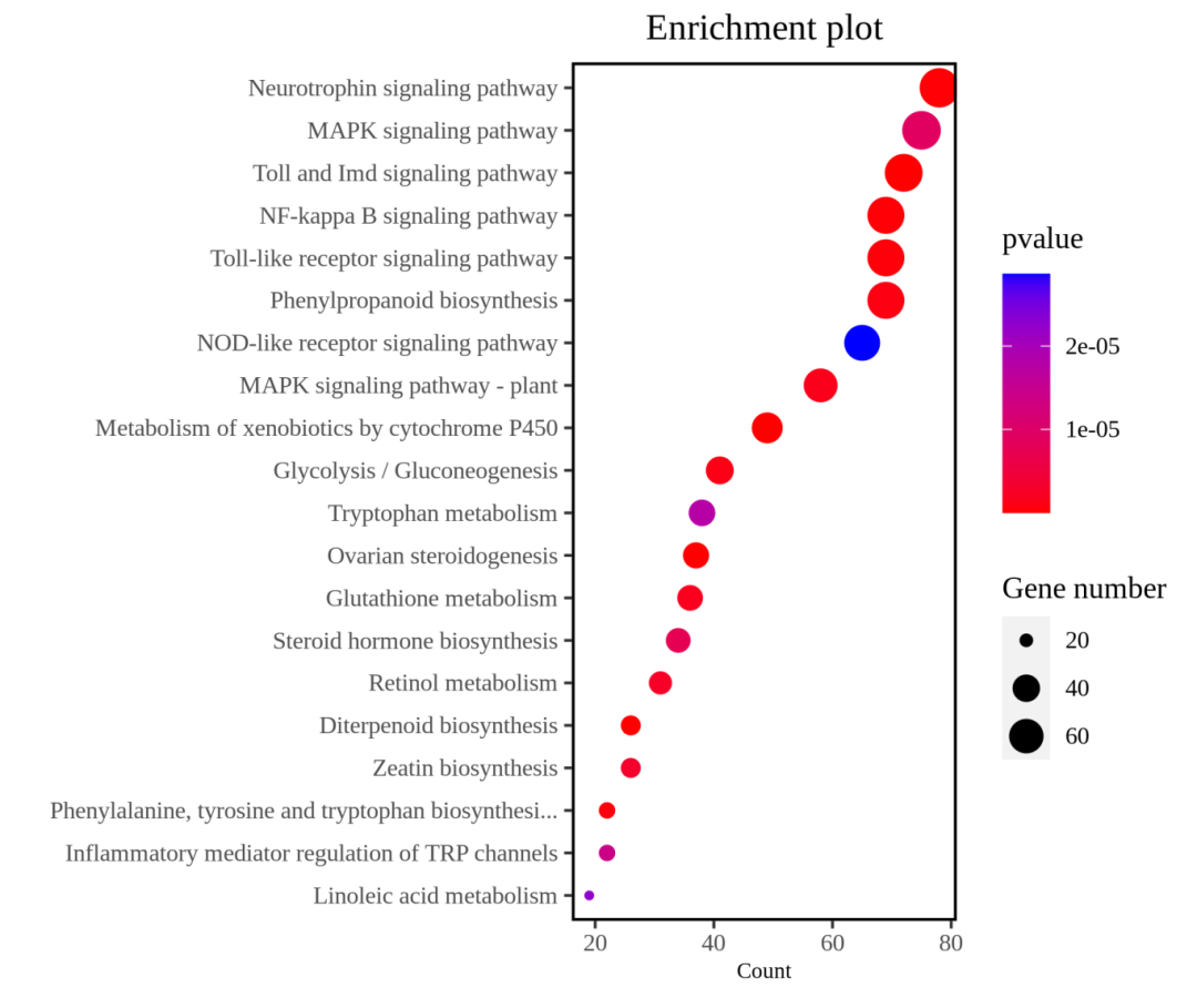 利刃出鞘如何利用转录组获得目的基因