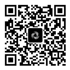 网络架构设计：CNN based和Transformer based