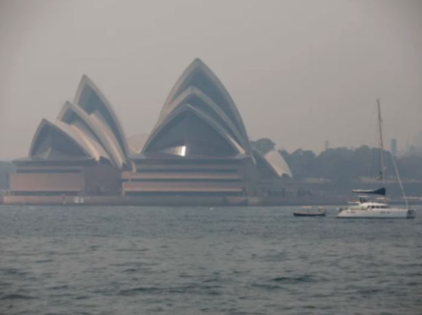 悉尼过去2个月的空气质量有多糟？看看这份数据就知道了