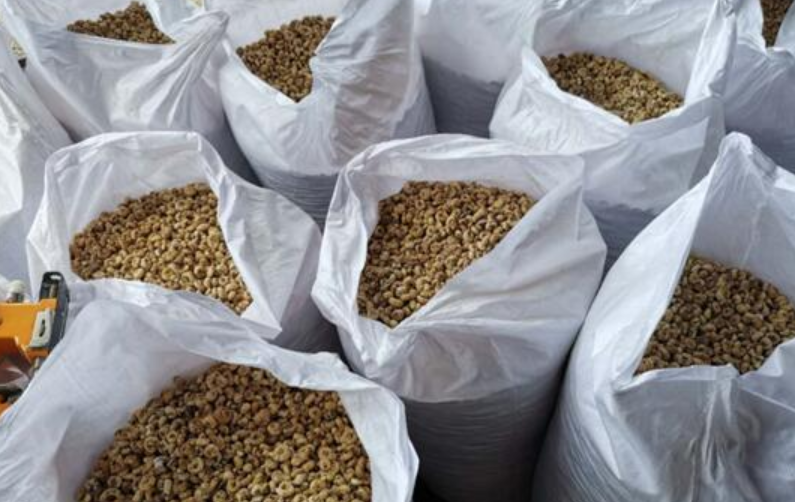 平贝母逆天行情，能火到什么时候？