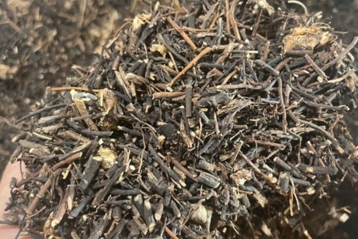 威灵仙会不会崩盘？