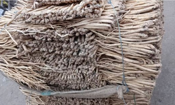 首阳中药材市场党参价格行情(1.2)