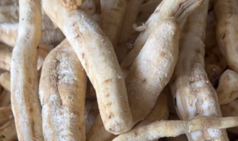 安国地产大集行情(1.14)