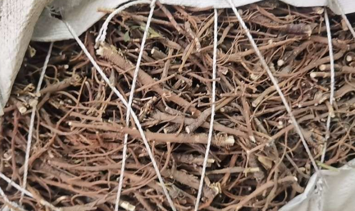 2024年12月9日文峰康美中药材市场柴胡、板蓝根、款冬花、地骨皮、淫羊藿价格行情