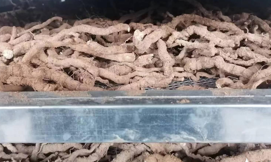 这些药材涨！涨！涨！