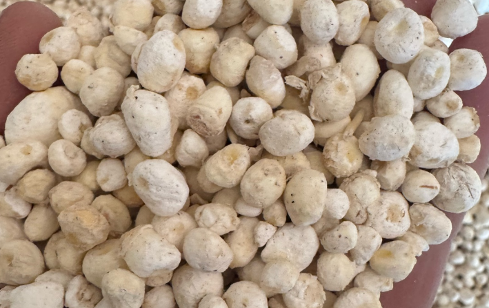 安国地产行情(1月4日)