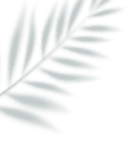 1.webp