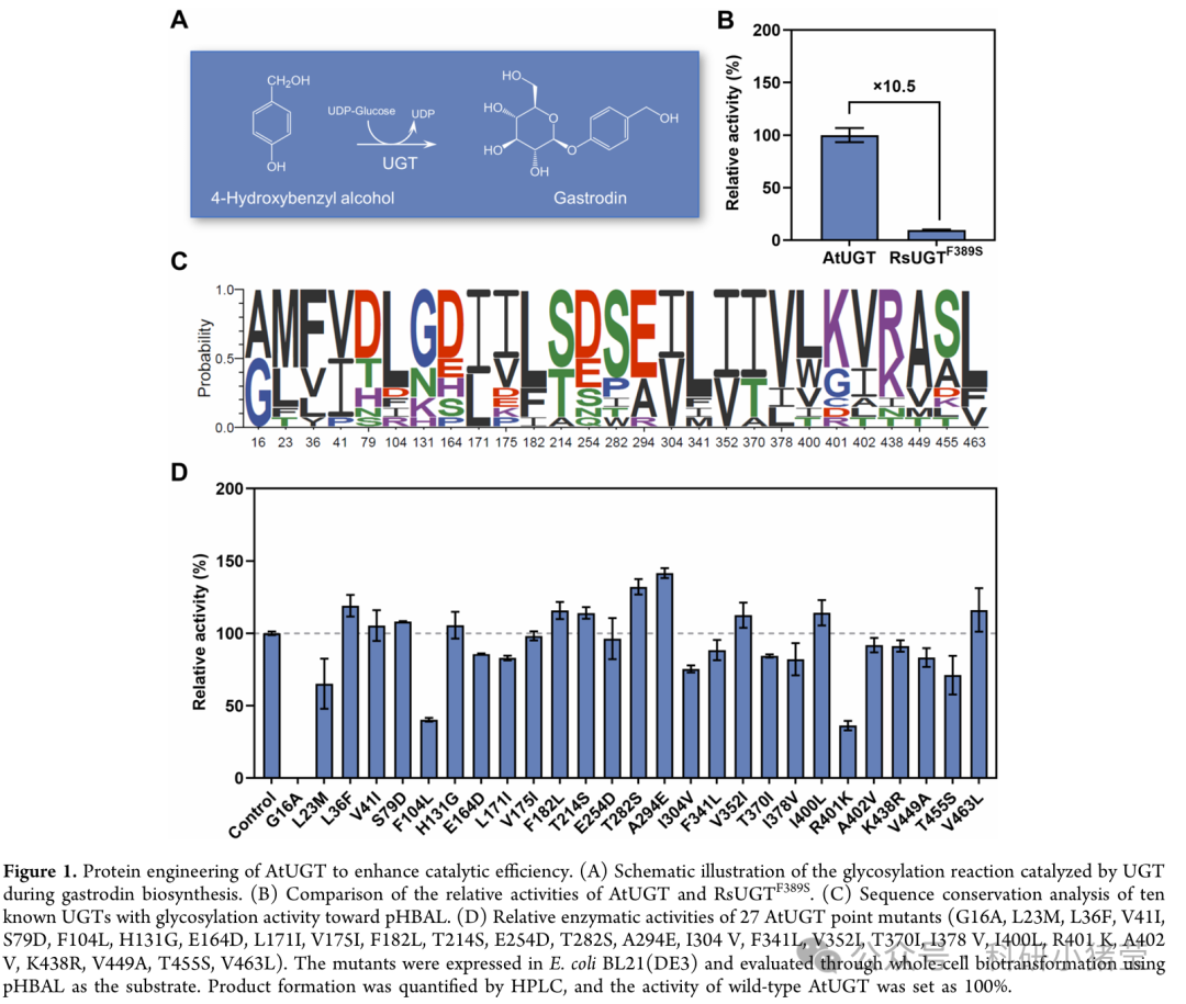 天麻素核心酶挖掘2