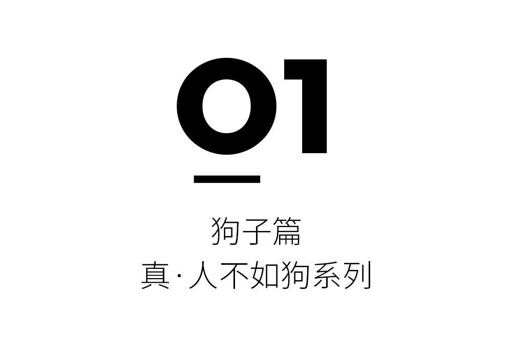 下輩子當隻貓，曬太陽，住理想家，用神仙設計！ 寵物 第8張