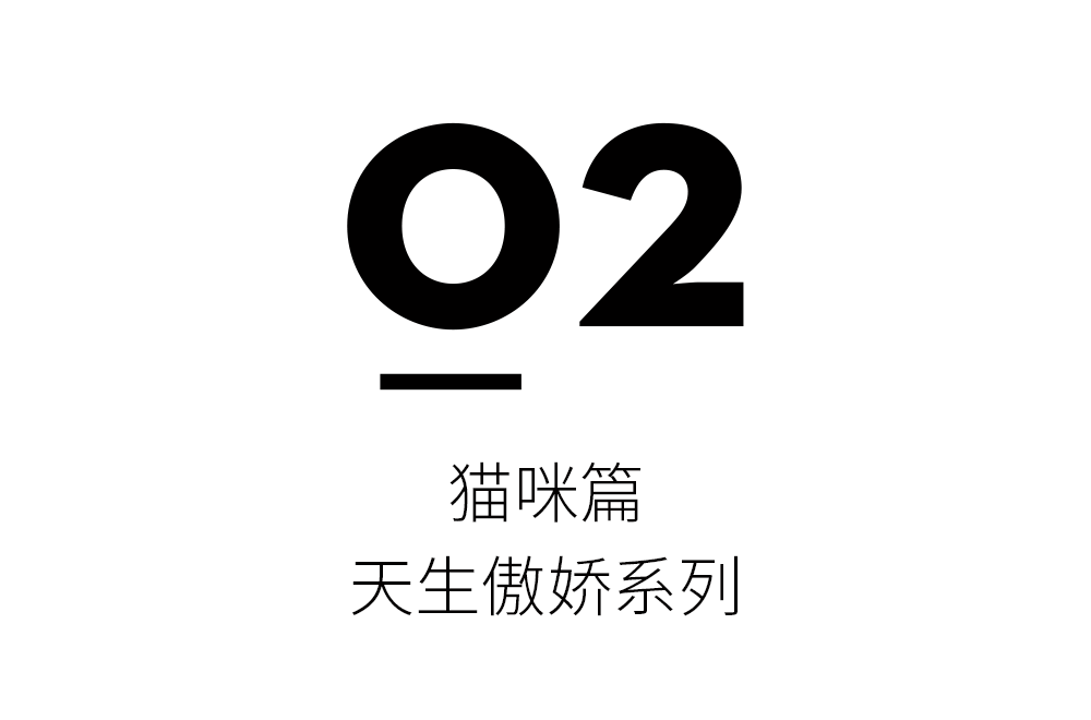 下輩子當隻貓，曬太陽，住理想家，用神仙設計！ 寵物 第32張