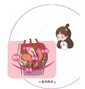 盆底肌康复治疗仪怎么用好消息！我院引进盆底肌生物反馈治疗仪——让盆底康复更轻松！_https://www.jmylbn.com_新闻资讯_第18张