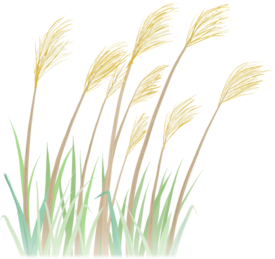 康复仪怎么升级长桥街道社区卫生服务中心星秀社区卫生服务站中医康复门诊再升级_https://www.jmylbn.com_新闻资讯_第7张